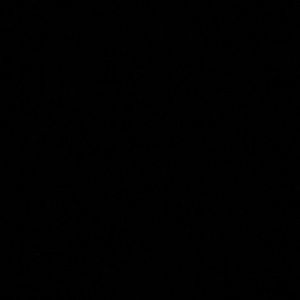 Meet your Posher, Monika